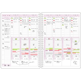 Set 30 Giấy Refill Binder Campus Study Planner Học Tập B5 Cây Đầu To