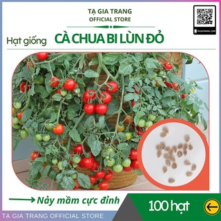 Mua Hạt giống cà chua bi lùn đỏ (cà chua bonsai) - Gói 100 hạt