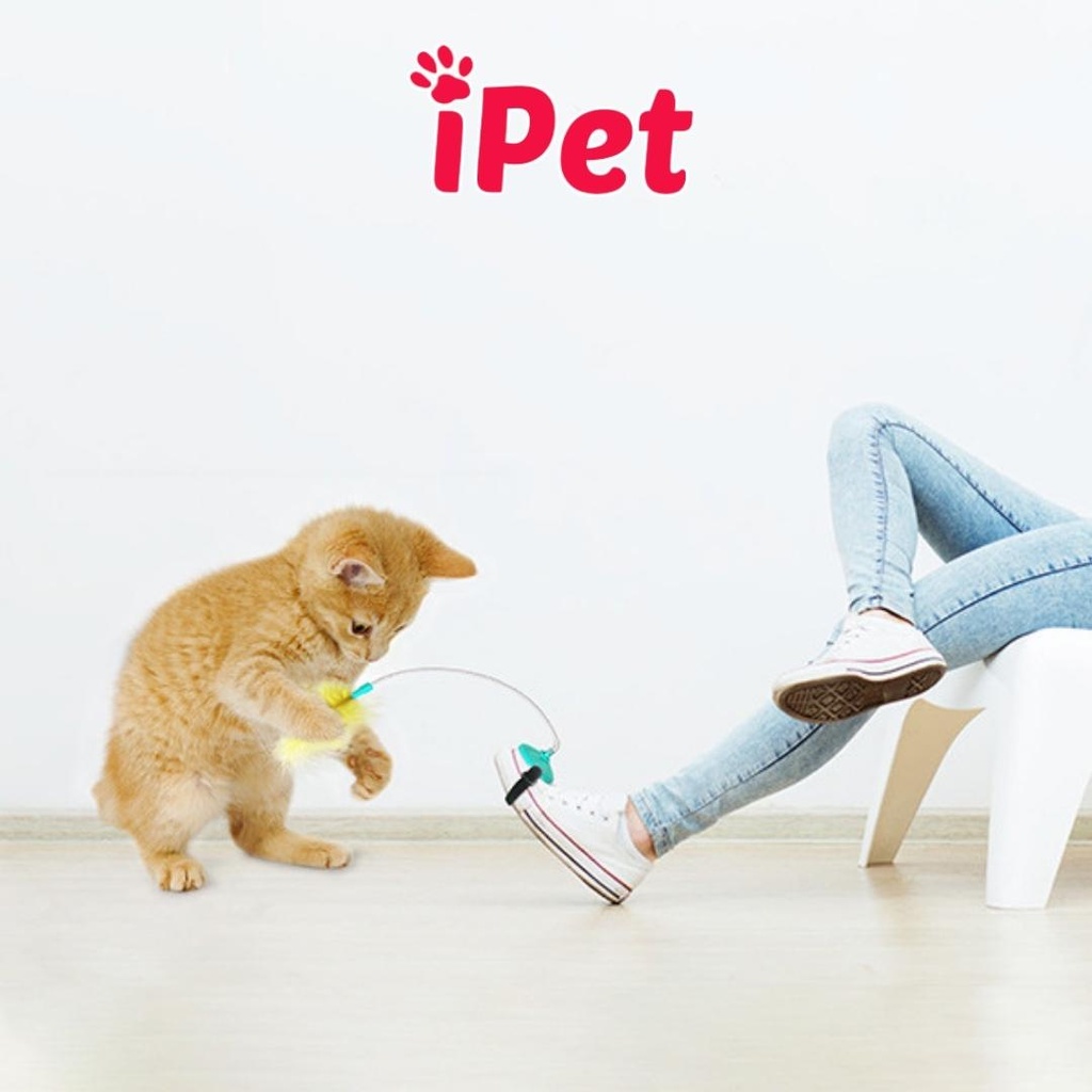 Đồ chơi lông vũ lò xo gắn đầu cho mèo vờn - iPet Shop