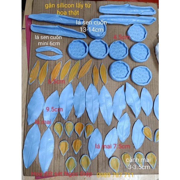 Gân cánh mai silicon,lấy từ hoa thật