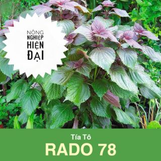 Hạt Giống Tía Tô (2,5gram)