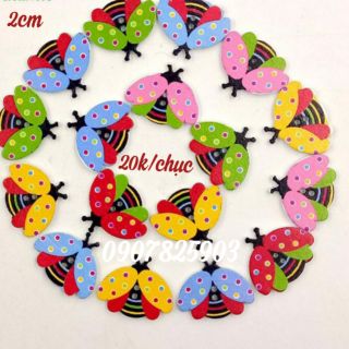 Cúc gỗ hình bướm