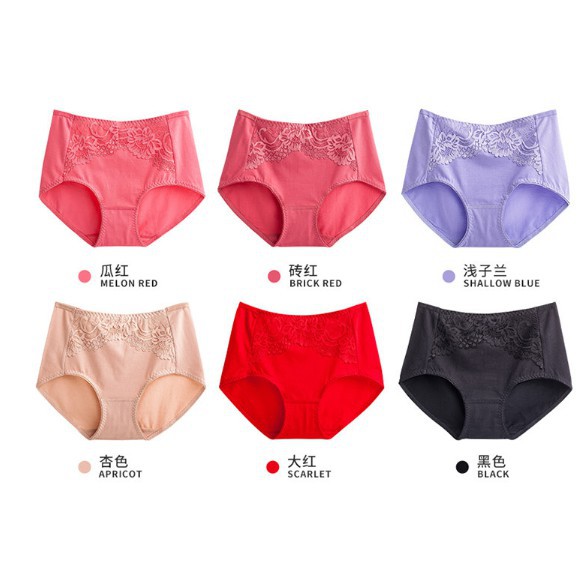 FREESHIP TỪ 99K_Quần Chip Bigsize cạp cao (từ 60kg trở lên) chất siêu đẹp; random 6 màu | BigBuy360 - bigbuy360.vn