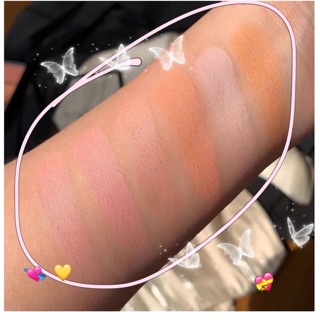 Bảng phấn má 6 ô guicami