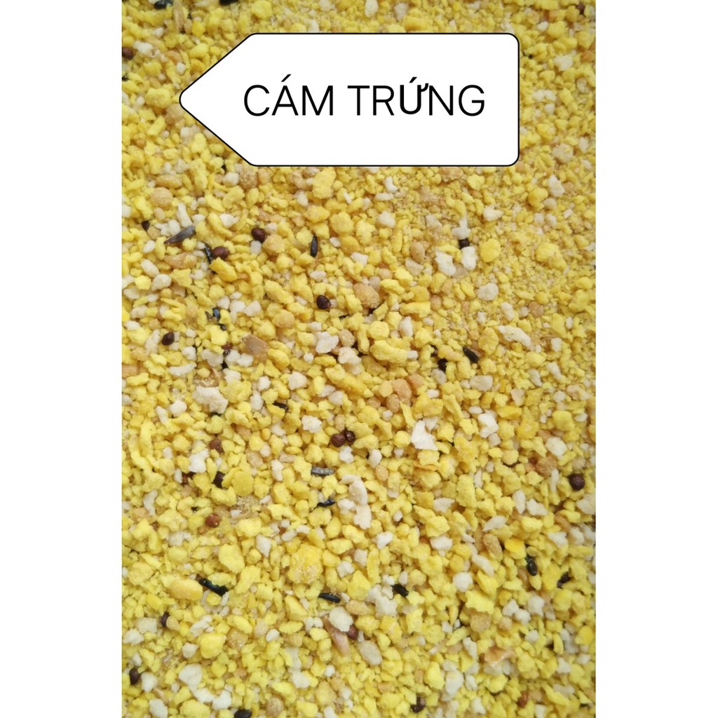 100g CÁM TRỨNG DELI  CHO YẾN HÓT, FINCH