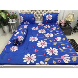COMBO 2 BỘ DRAP THUN HÀN QUỐC M6