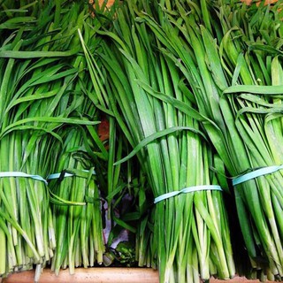 1gram HẠT GIỐNG HẸ
