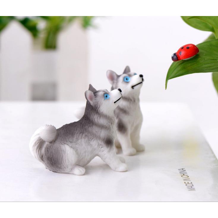 Mô Hình Chó Husky Làm Tiểu Cảnh - trang trí terrarium / decord mô hình