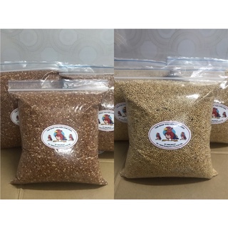 Kê hạt đỏ to & kê vàng hạt dinh dưỡng cho yến phụng, manh manh,cu gáy,bồ câu…