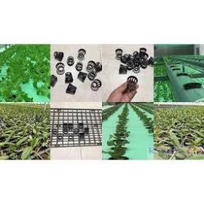 Bộ 5 vỉ nhựa đựng chậu nuôi cấy mô trồng lan – 112 ô