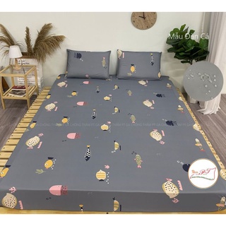 Ga chống thấm cotton thun nano PT mẫu đàn cá