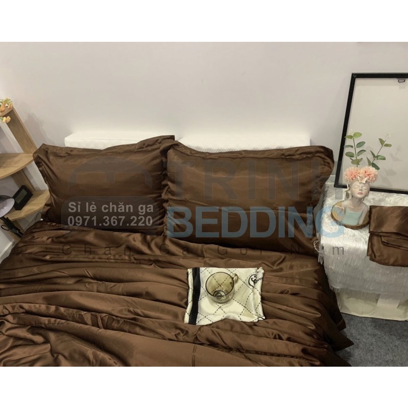 Bộ Ga Lụa Phi Mền Trơn Lót Sẵn Bông Lông Vũ Mềm Trinhbedding