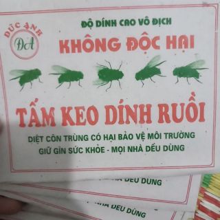 10 miếng keo dính ruồi siêu nhạy