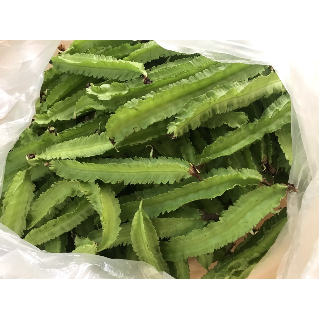 ĐẬU RỒNG (GIAO NHANH LONG XUYÊN)