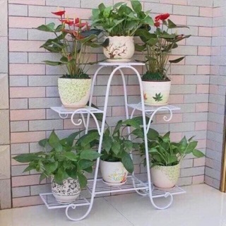 Kệ sắt 6 tầng trưng bày hoa