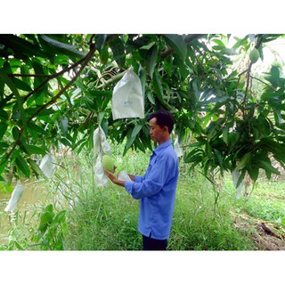 TÚI BỌC TRÁI CÂY BƠ, ỔI, XOÀI, NA 100 TÚI CÓ DÂY RÚT 16x20CM