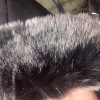 Áo phao hot hit