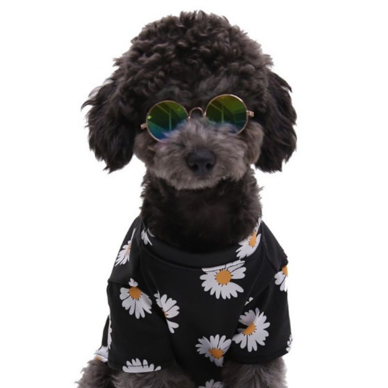 Siêu Giảm Giá Mắt kính chó mèo mắt kính Thời trang cho Thú Cưng phong cách độc lạ- dùng để Sống Ảo", cực Cute Canh sale