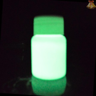 ONE 20g Glow in the Dark Fluorescent Colorful Acrylic Luminous Paint Bright Pigment DIY Crafts Painting Tool