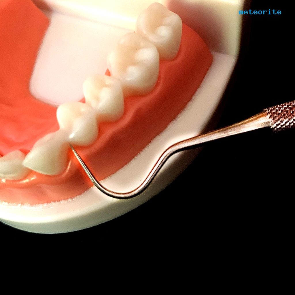 1 Bộ Tăm Xỉa Răng Bằng Thép Không Gỉ Thân Thiện Với Môi Trường Chống Rỉ Sét Kèm Hộp Đựng Dành Cho Gia Đình