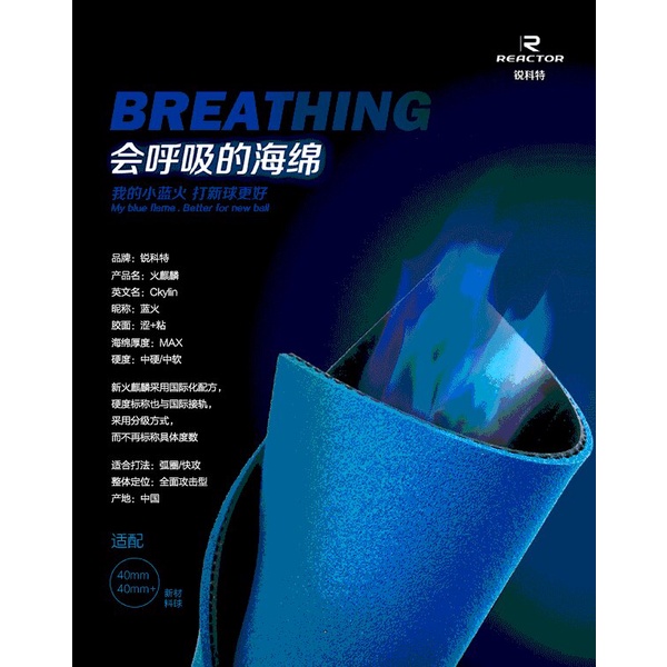 Mặt Vợt Bóng Bàn Bọt Khí Giá Rẻ Cực Bám Reacter Ckylin - Chất Lượng Trong Tầm Giá