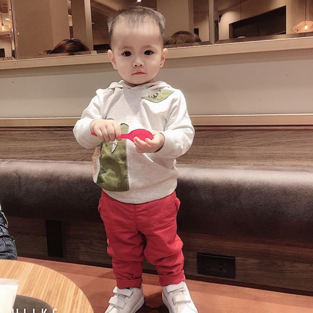 Áo nỉ da cá carter xuất xịn