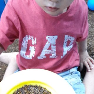 Áo phông GAP bé trai 3 - 5 T