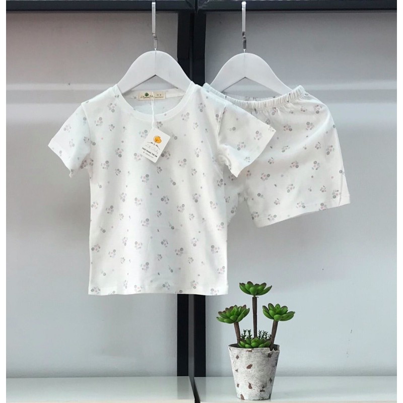 Bộ cotton giấy 2-6 tuổi