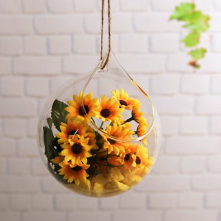 Bể cá vàng treo tường trang trí