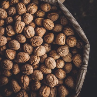Hạt óc chó
