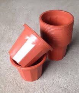 COMBO 10 CHẬU E300- 26*17*23CM