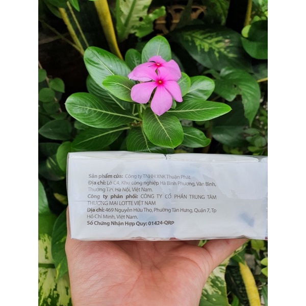Lốc 6 gói khăn GIẤY BỎ TÚI Lotte - 60 tờ/lốc