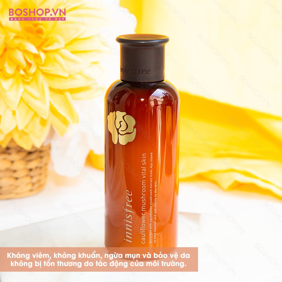 TONER INNISFREE CAULIFLOWER MUSHROOM VITAL SKIN 200ML CHÍNH HÃNG - 5568