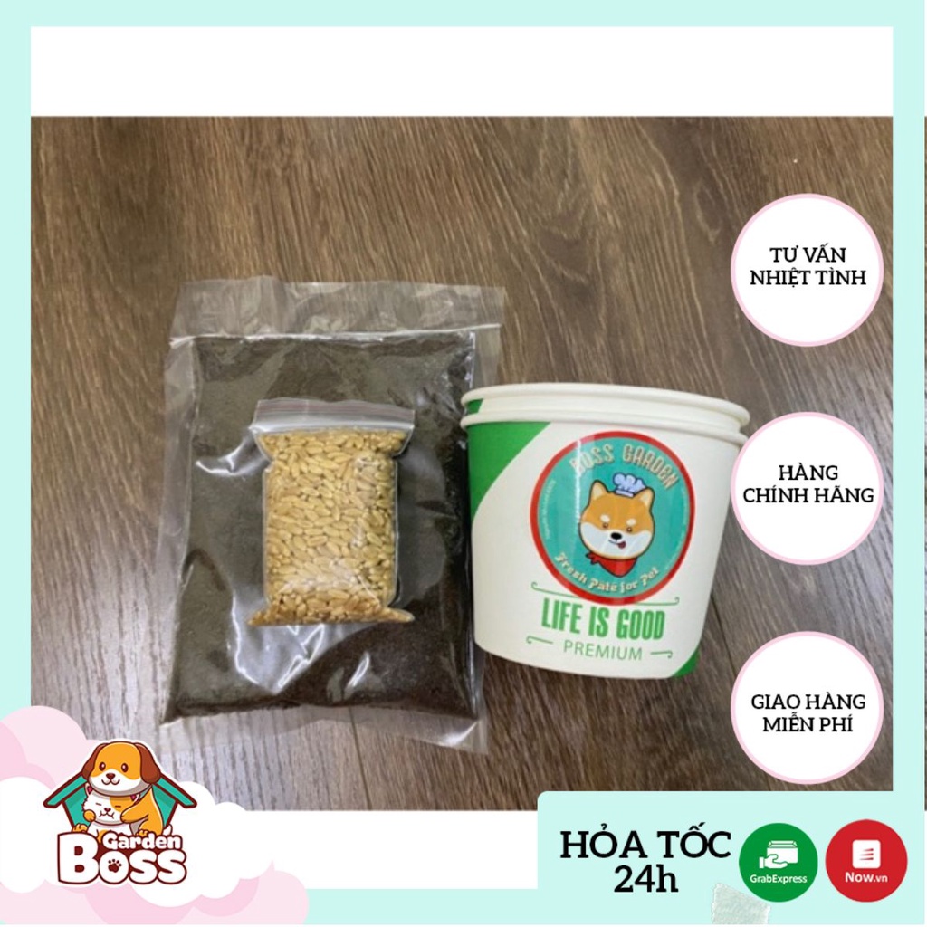 Bộ kit trồng cỏ mèo tiện lợi tại nhà combo chậu, đất, hạt giống – Boss Garden