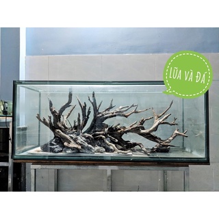 [1kG] Lũa San Đá Cành - Chuyên dùng cho bể cá Thủy Sinh