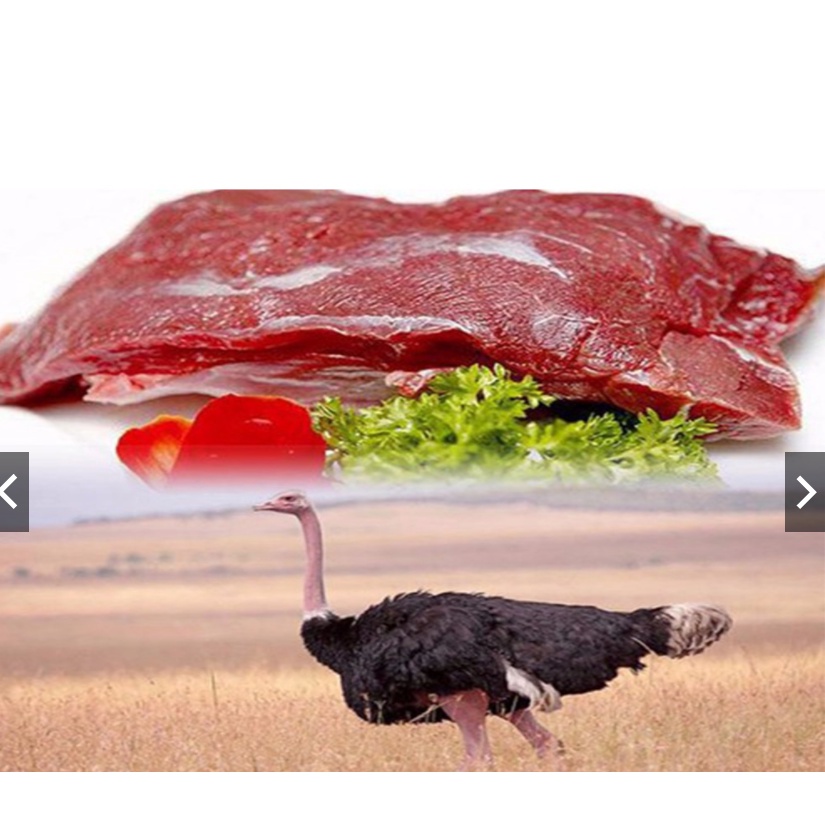 1 KG Thịt đà điểu phi lê hàng loại 1
