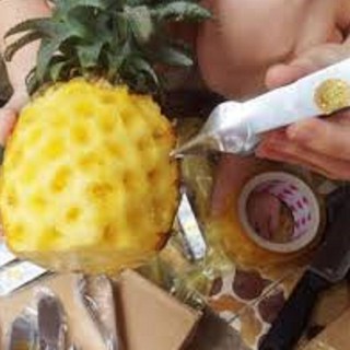 DÍP GẮP MẮT DỨA SIÊU TỐC GIÁ RẺ