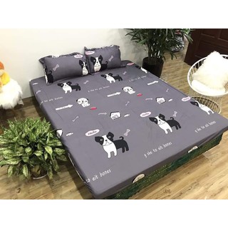 Bộ gra giường 3 món ( 1 gra + 2 vỏ gối nằm)