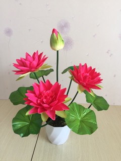 Những bình hoa đẹp (ảnh thật)