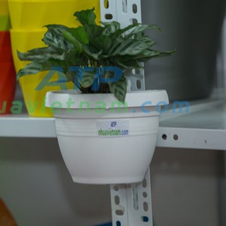 Combo 5 chậu nhựa treo cột siêu yêu hàng Việt Nam chất lượng