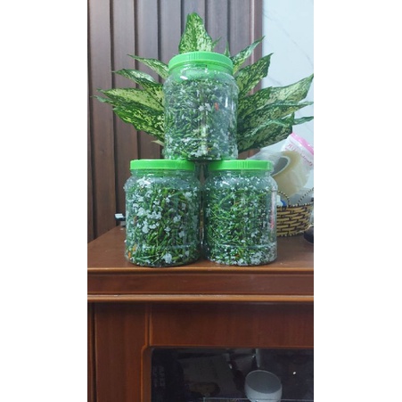 Ớt gió ngâm muối cao nguyên đá Hà Giang