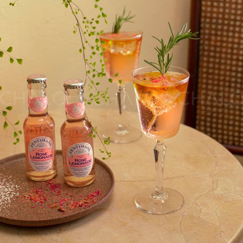 Ly thủy tinh Cocktail siêu mỏng Libbey Spksy  Nick &amp; Nora, Martini, Coupe, Gin &amp; Tonic - 147 ~ 580ml [Made in EU]