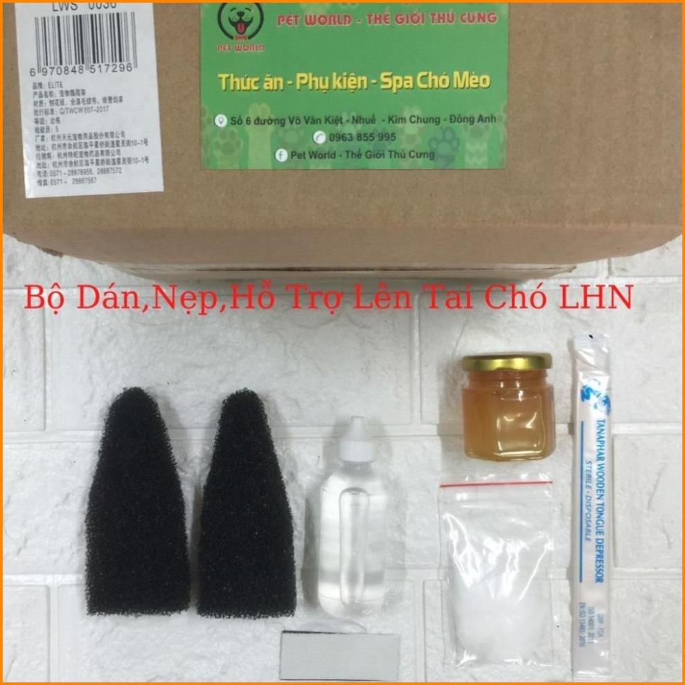 Bộ dán tai, nẹp tai, dựng tai,hỗ trợ lên tai cho mọi giống chó