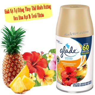 BÌNH XỊT PHÒNG TỰ ĐỘNG GLADE THAY THẾ HƯƠNG HOA DÂM BỤT & TRÁI THƠM - SALETOT