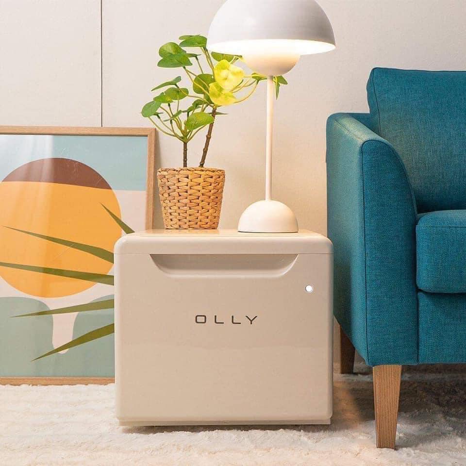 Tủ lạnh mini OLLY OLR02 hàng nội địa Hàn, dung tích 24L