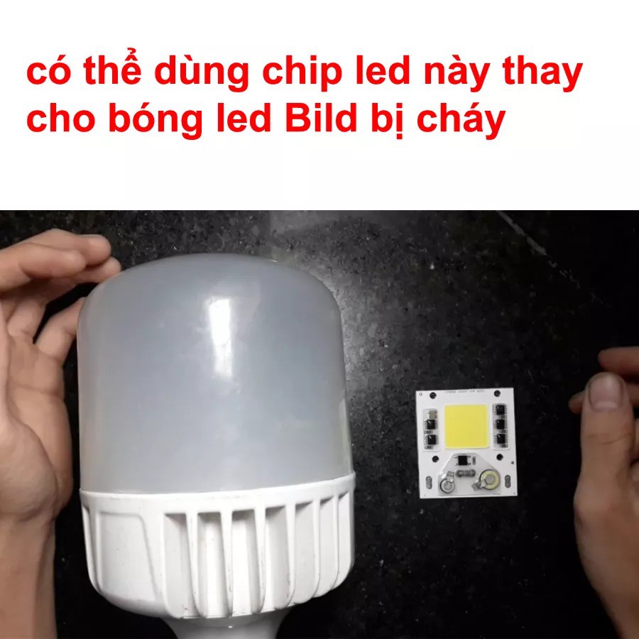 chip LED quang phổ toàn phần trồng cây công suất 20w