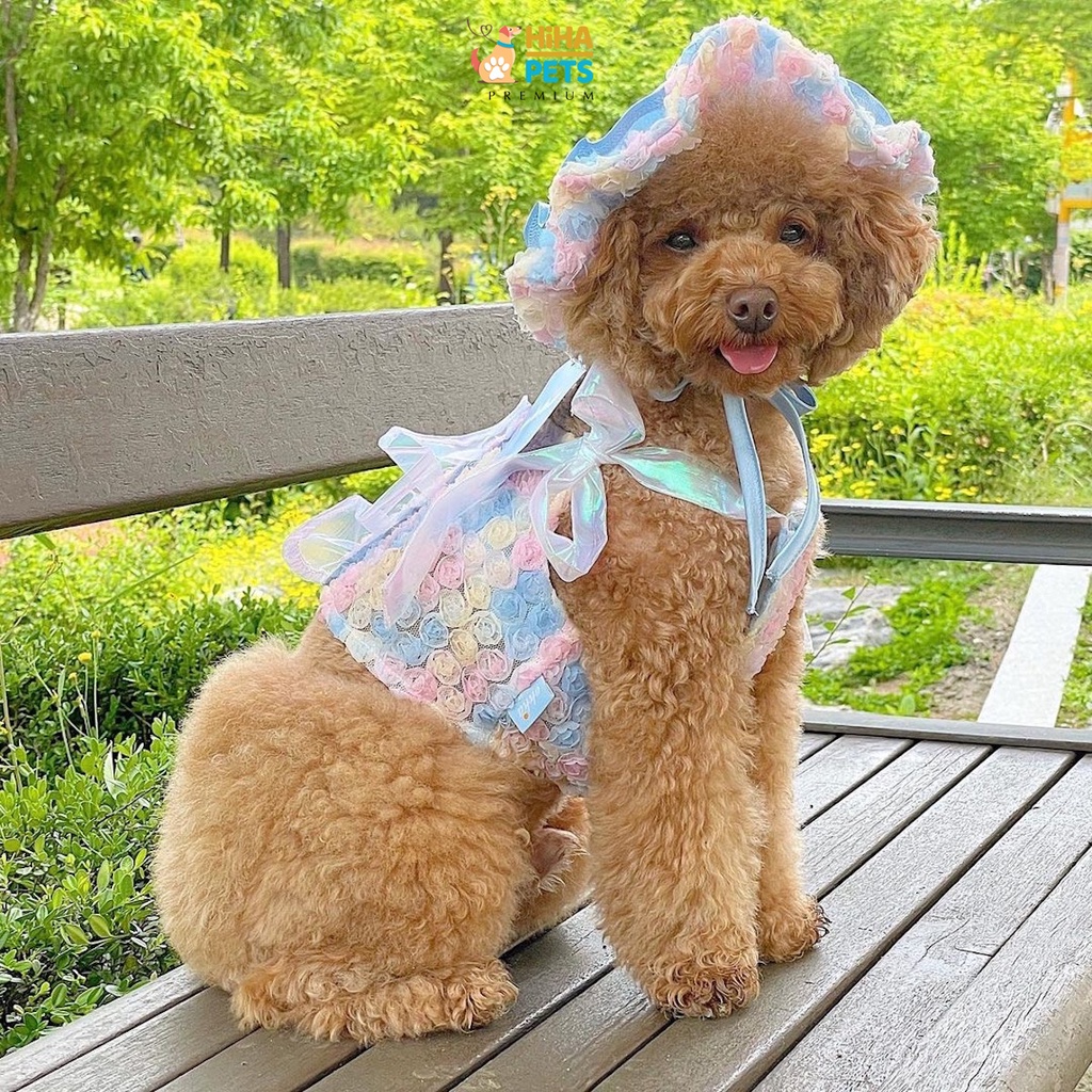 Váy Đầm Cho Chó Mèo Không Nón Hàn Quốc Mẫu Cao Cấp Quần Áo Thú Cưng Thiết Kế Thời Trang Hihapet.