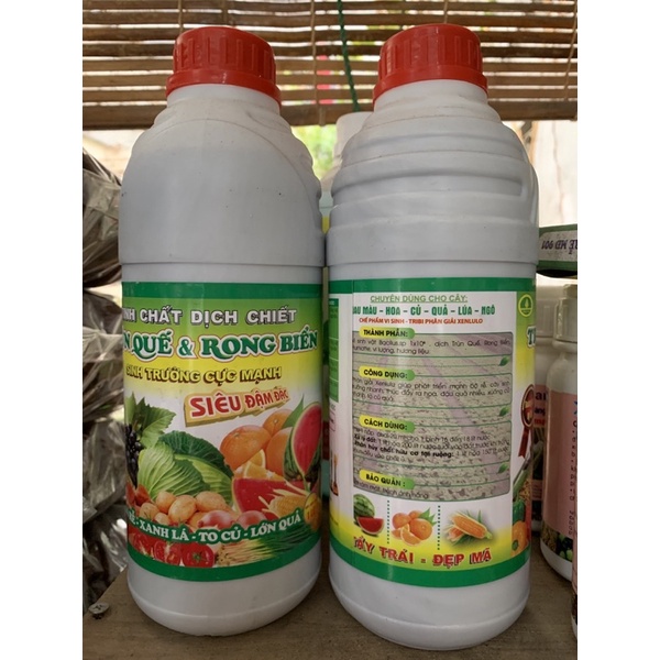 Dịch Trùn Quế & Rong Biển