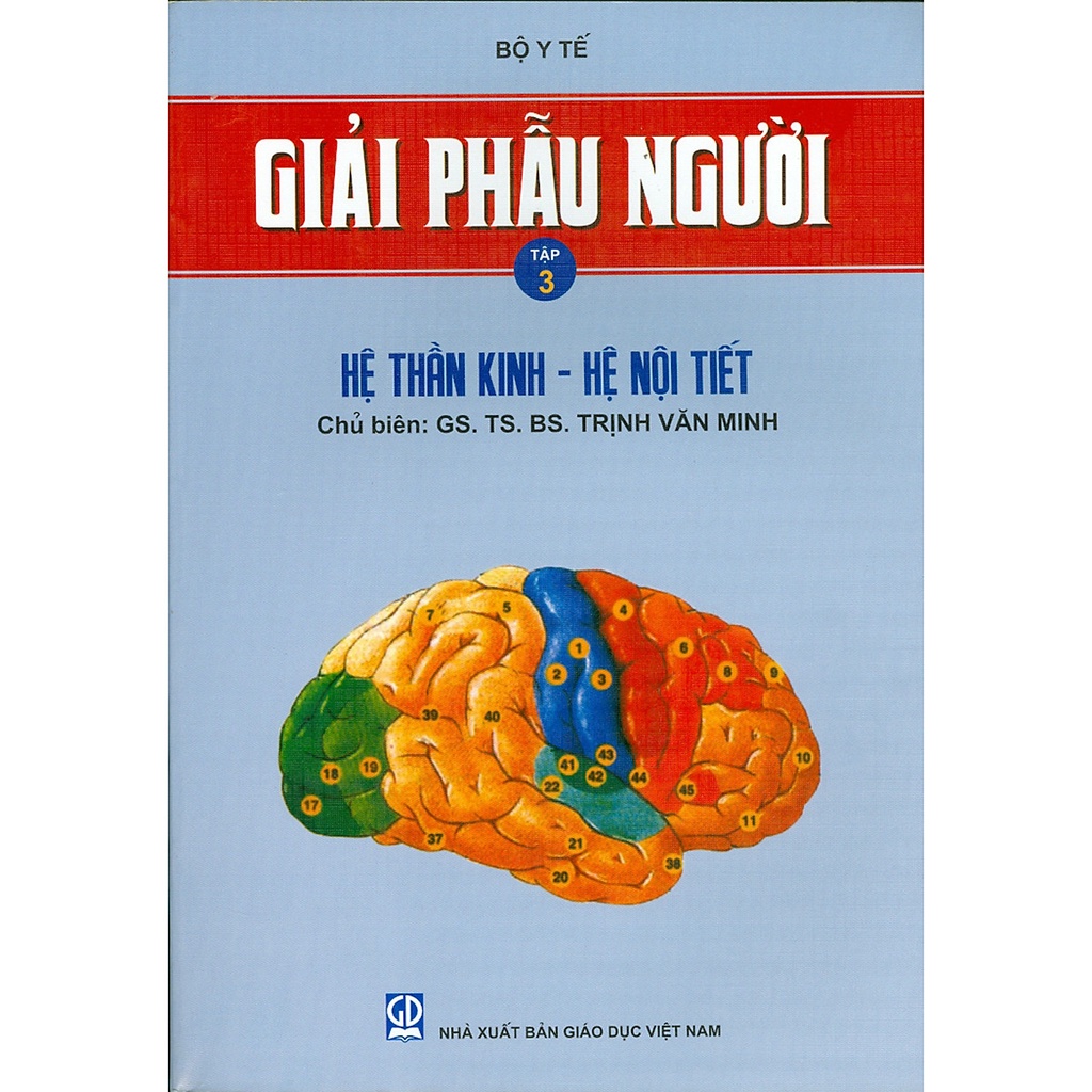 [Mã BMBAU50 giảm 10% đơn 99k] Sách - Giải Phẫu Người - Tập 3: Hệ Thần Kinh - Hệ Nội Tiết