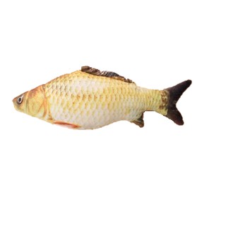 GỐI ÔM HÌNH CÁ CHÉP SIZE 80CM(RẺ MÀ CHẤT)